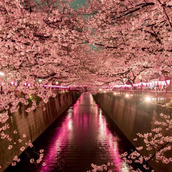 Meet your Posher, April - Picture 1 of 1